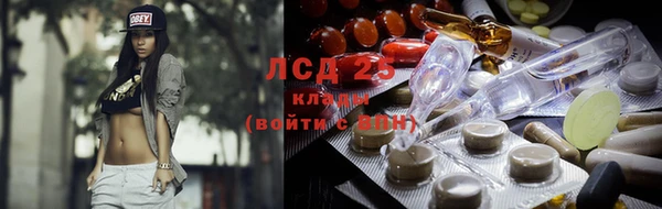 шишки Аркадак