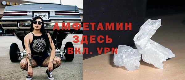 шишки Аркадак